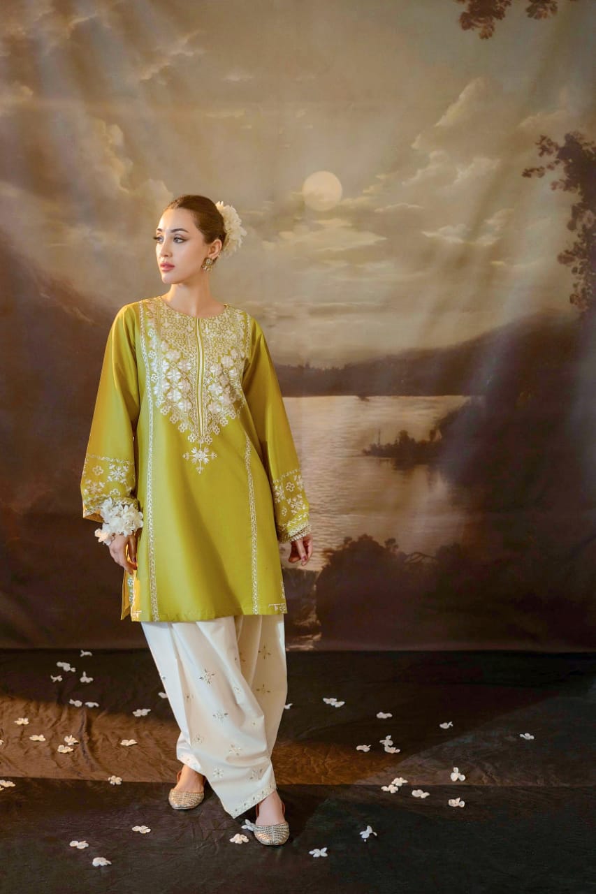 2 Piece Unstiched Embroidery Dhanak