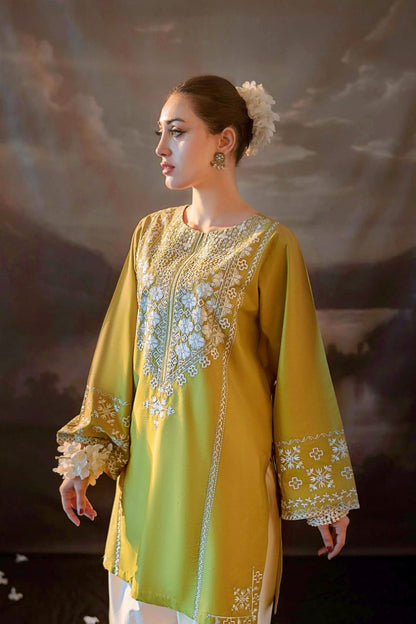 2 Piece Unstiched Embroidery Dhanak