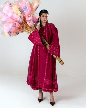 Embroidered Sleeves