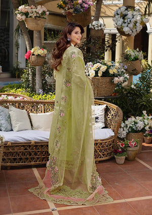 Embroidered Sleeves