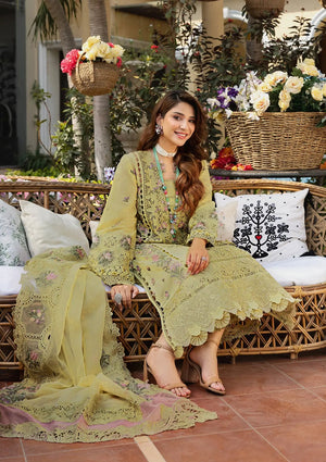 Dhanak Trouser