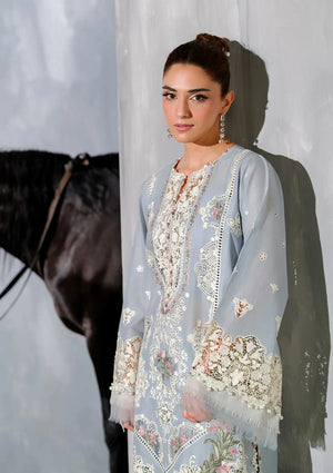Embroidered Sleeves