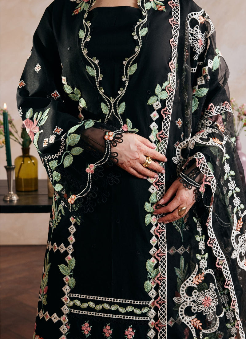 203 black
