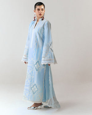 Embroidered Sleeves