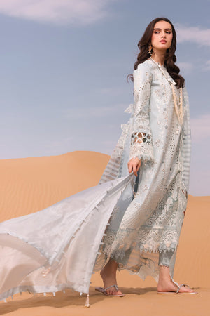 Embroidered Sleeves