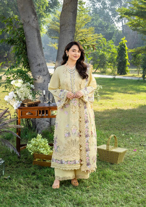 Embroidered Dhanak Shirt