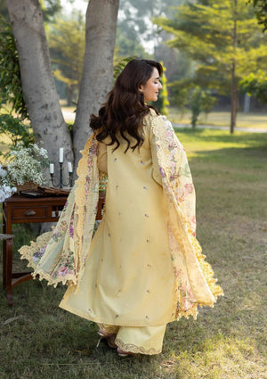 Embroidered Sleeves