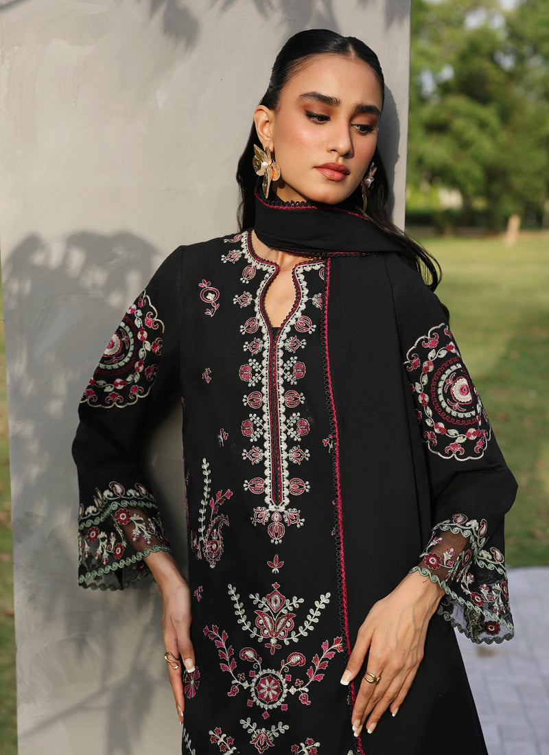 245 Black