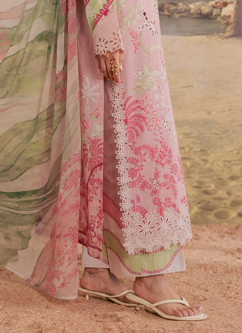 247 Pink