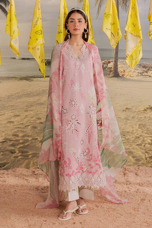 Dhanak Trouser