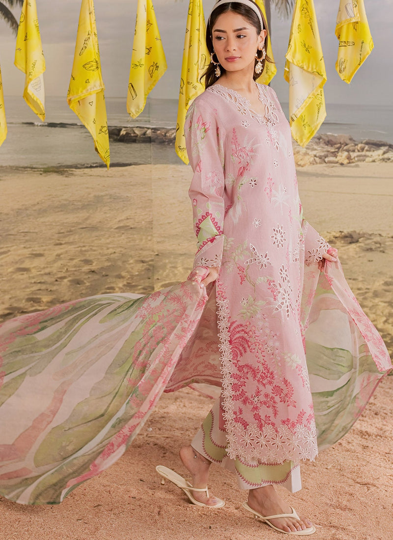 247 Pink