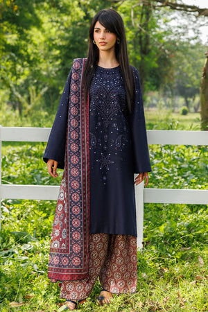 Embroidered Dhanak Shirt