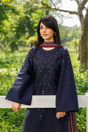 Embroidered Sleeves