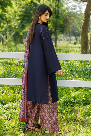 Dhanak Trouser