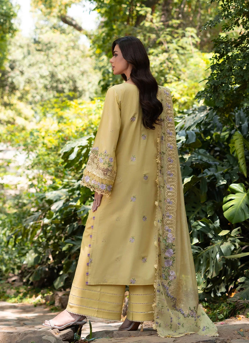 255 Yellow