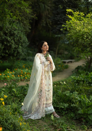 Dhanak Trouser