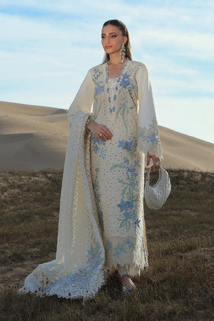 Embroidered Sleeves