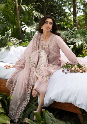 Dhanak Trouser