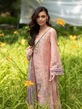 Gul-e-Sahar