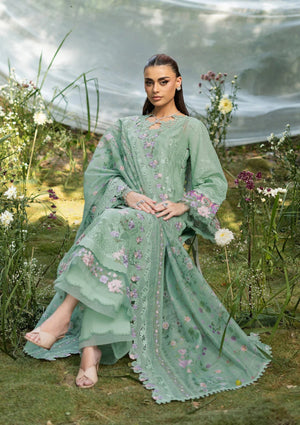 Dhanak Trouser