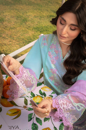 Dhanak Trouser