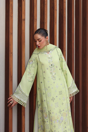 Embroidered Sleeves