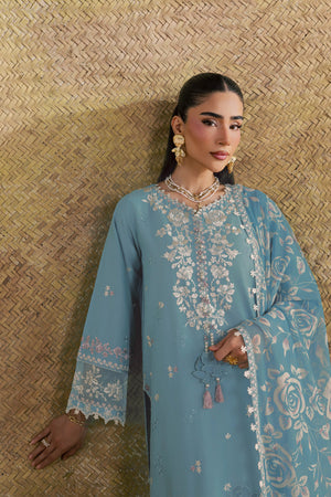 Embroidered Sleeves