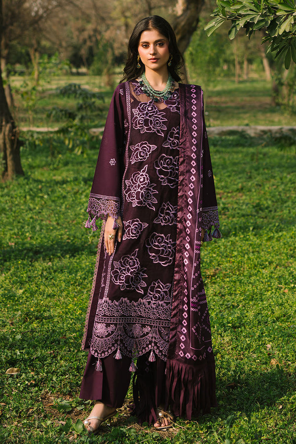 Noor-e-Banafsha