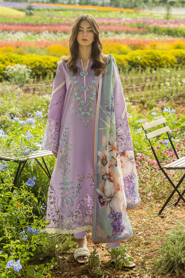Lavender Bloom