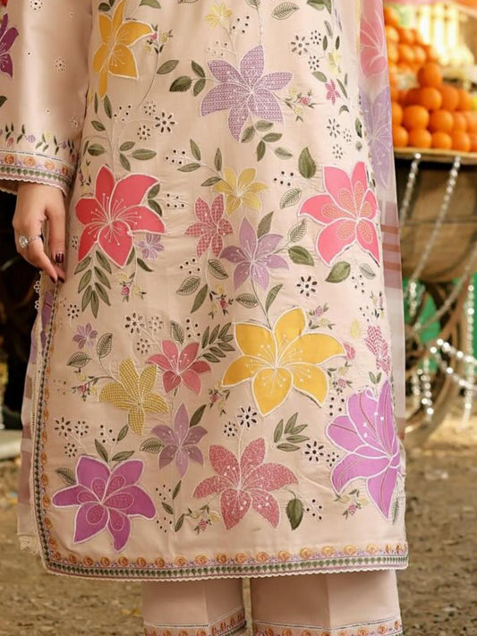 Skin Embroidered Dress 3pc