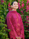 The Noor