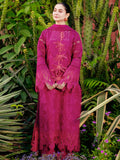 The Noor