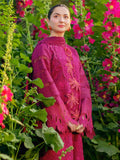 The Noor