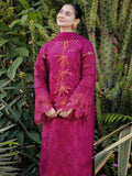 The Noor