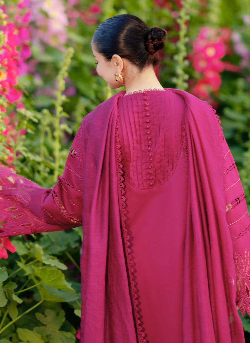 The Noor
