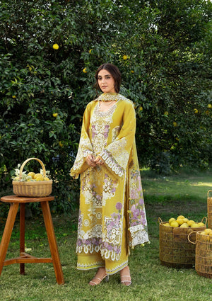 Embroidered Dhanak Shirt