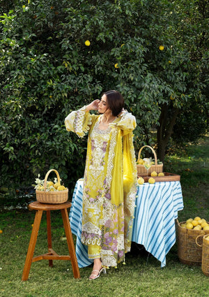Dhanak Trouser