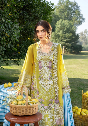 Embroidered Sleeves
